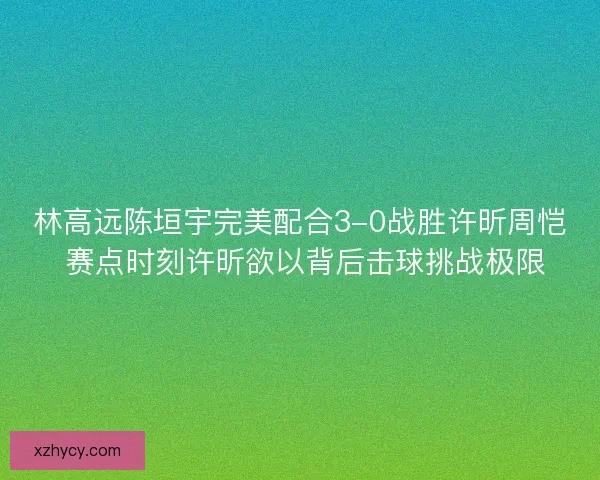 林高远陈垣宇完美配合3-0战胜许昕周恺 赛点时刻许昕欲以背后击球挑战极限 林高远陈垣宇完美配合3-0战胜许昕周恺 赛点时刻许昕欲以背后击球挑战极限