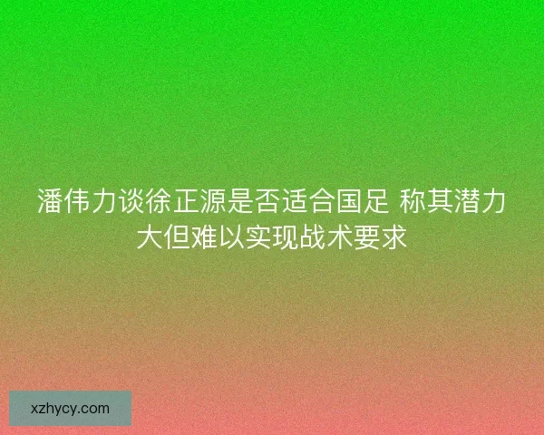 潘伟力谈徐正源是否适合国足 称其潜力大但难以实现战术要求 潘伟力谈徐正源是否适合国足 称其潜力大但难以实现战术要求